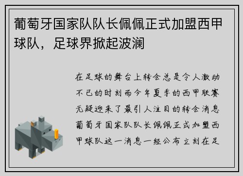 葡萄牙国家队队长佩佩正式加盟西甲球队，足球界掀起波澜